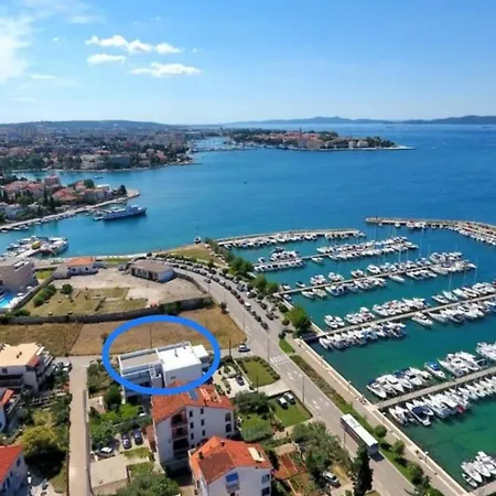 Marija Anchor *