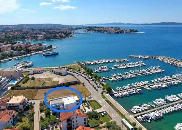 Marija Anchor *