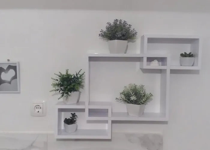 Marija Anchor 扎达尔